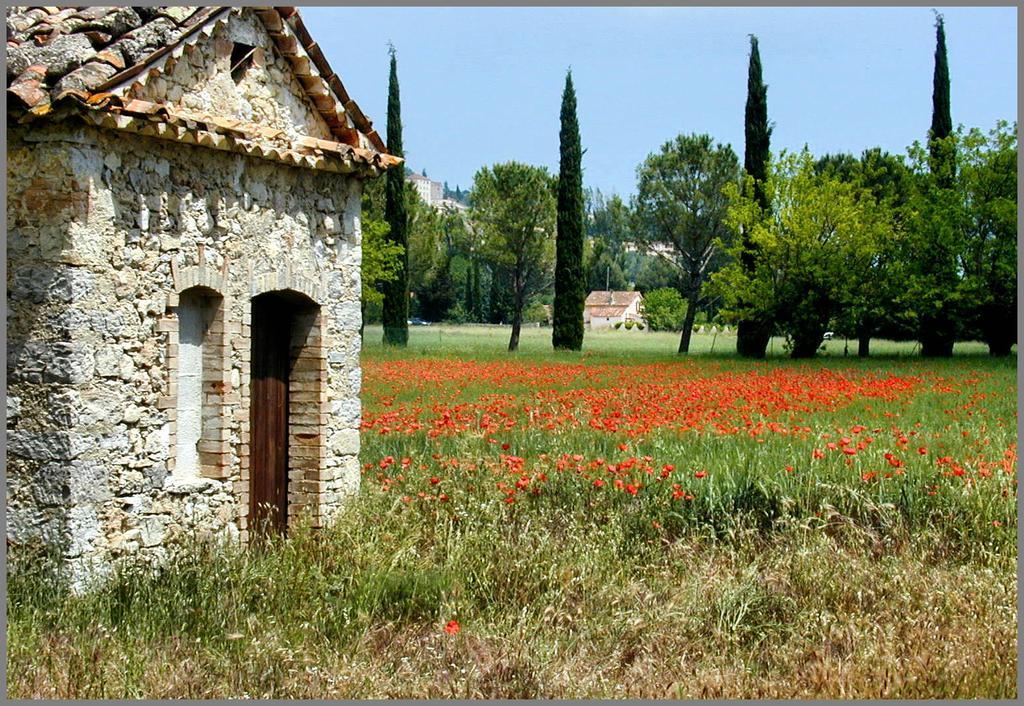 Provencal House In Fayence With Pool & Indoor Spa 部屋 写真